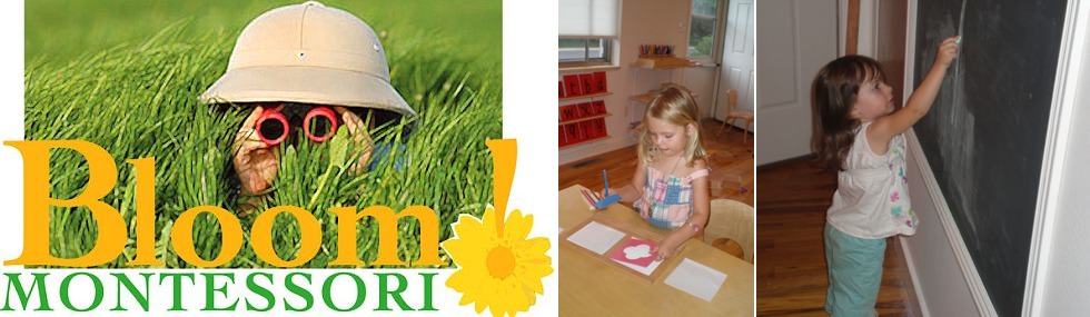 Bloom Montessori Preschool serving Longmont, Frederick, Erie, Niwot, Gunbarrel, and Boulder.